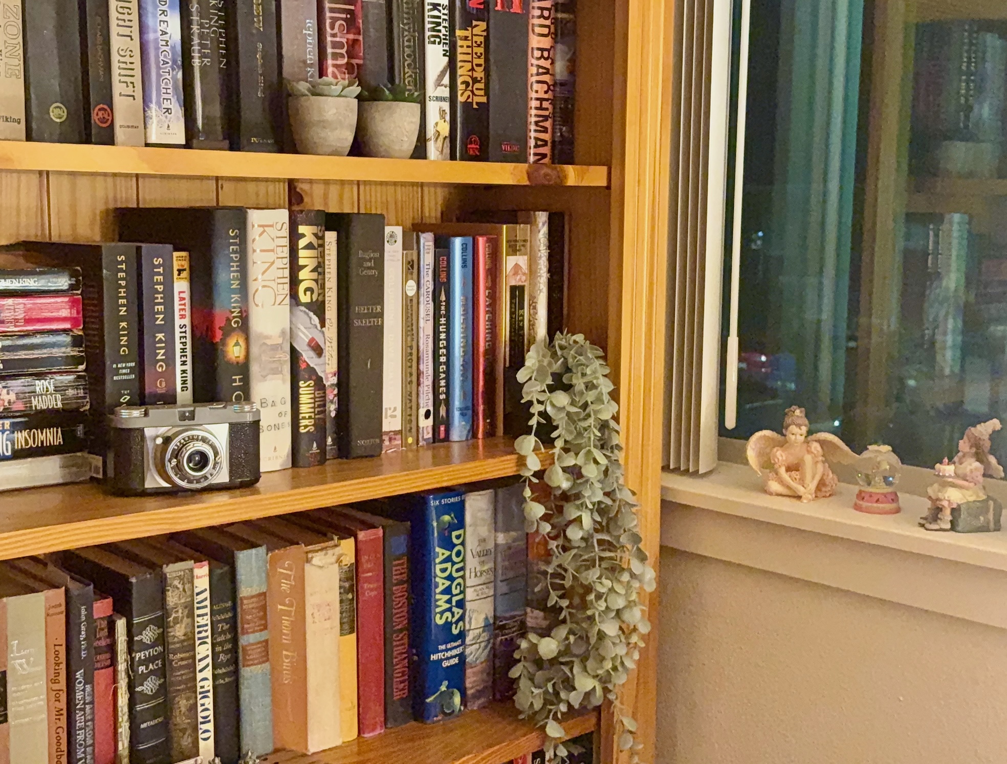 cornerbookshelf - 1.jpeg