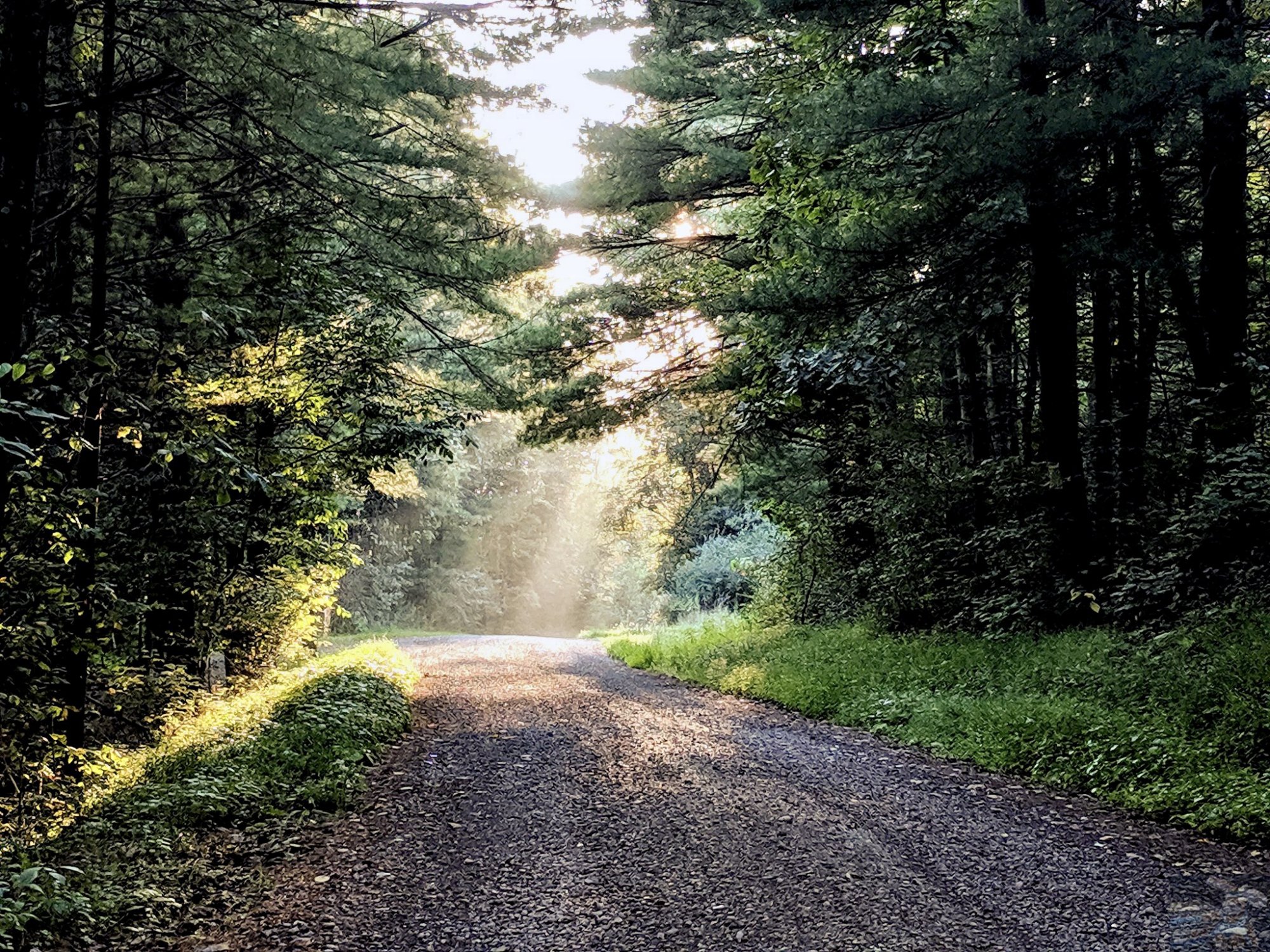 countryroad.jpg