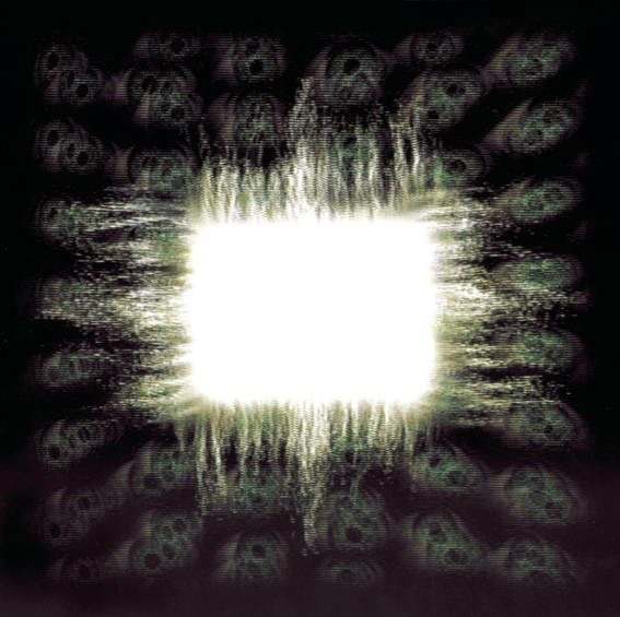cover.png