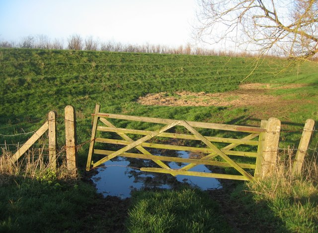 Crooked_Gate_-_geograph.org.uk_-_1130984.jpg