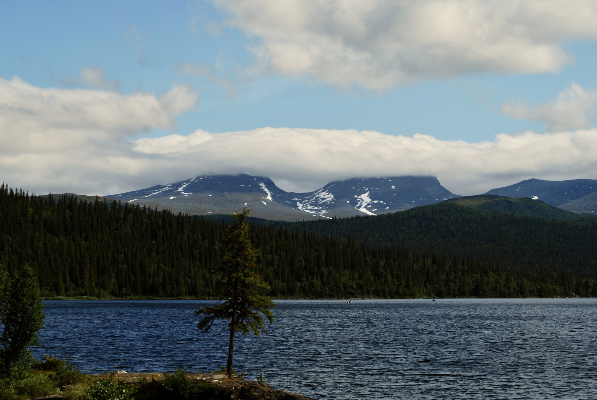 CSC_001 (36).JPG