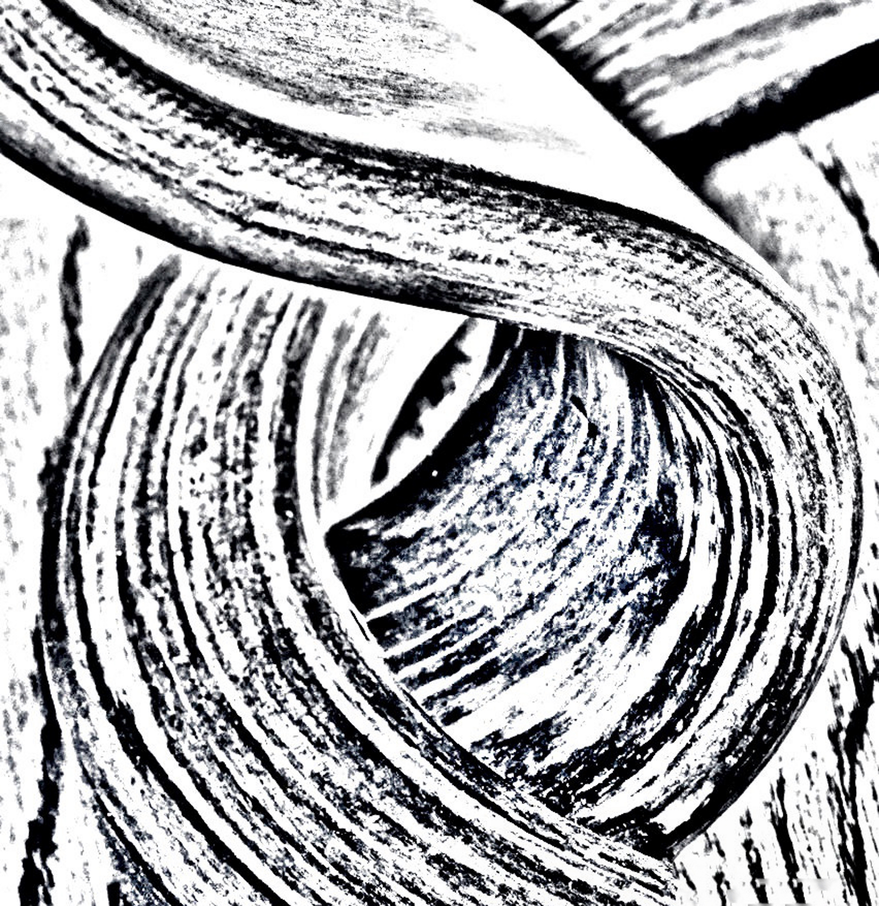 Curvaceous B&W Lines.jpeg