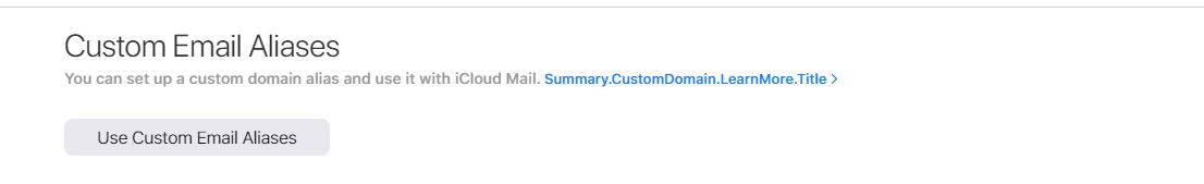 Custom Domain-2.JPG