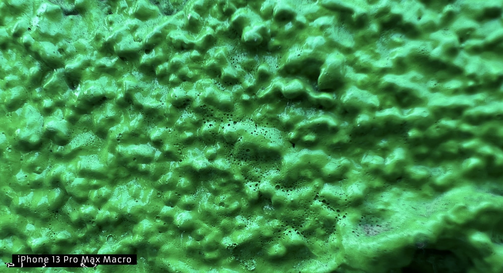 D02532A0-D2F1-43CC-97D6-F954BAEF0B63.jpeg