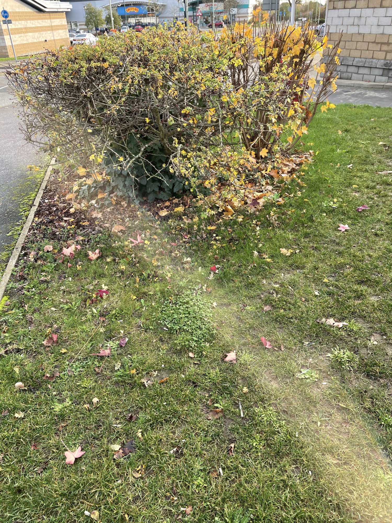 D05ED822-E388-450A-B11F-08CBE0AF5F87.jpeg