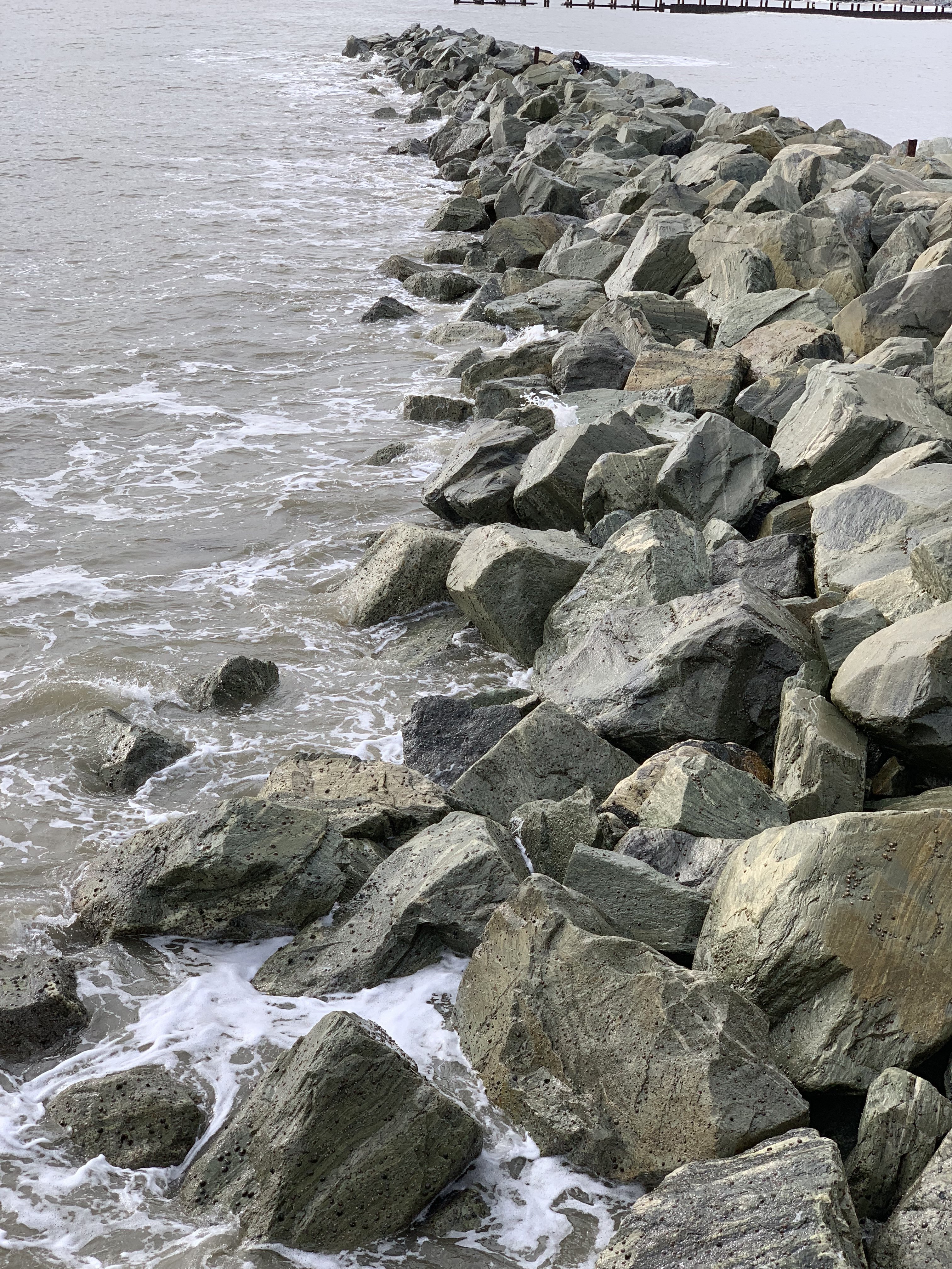 D1980565-8EF4-4411-9476-B981F825E5F2.jpeg