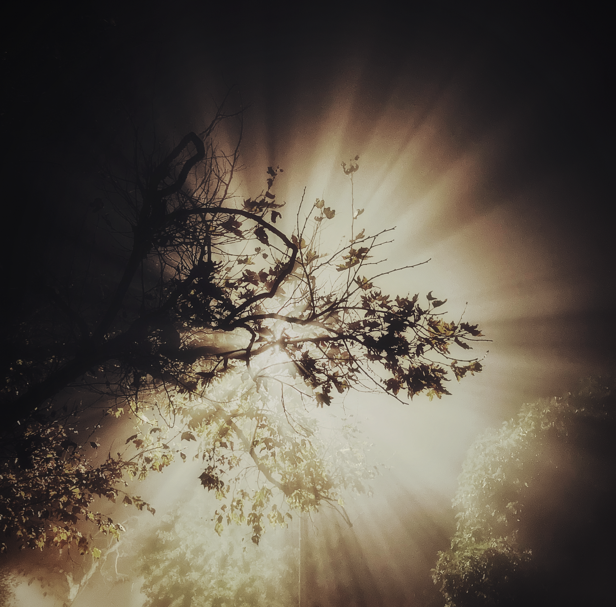 D36198DB-7F22-434E-BBAC-B37F113FAF9E.png