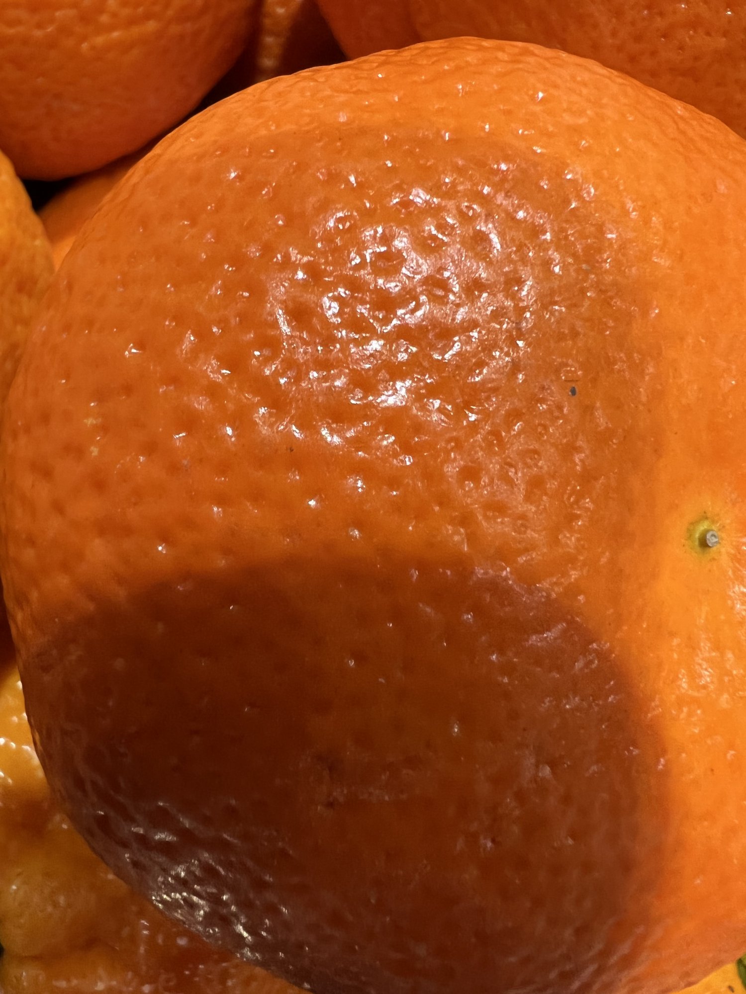 D4D85568-181B-412C-9B77-A12AB7F8A699.jpeg
