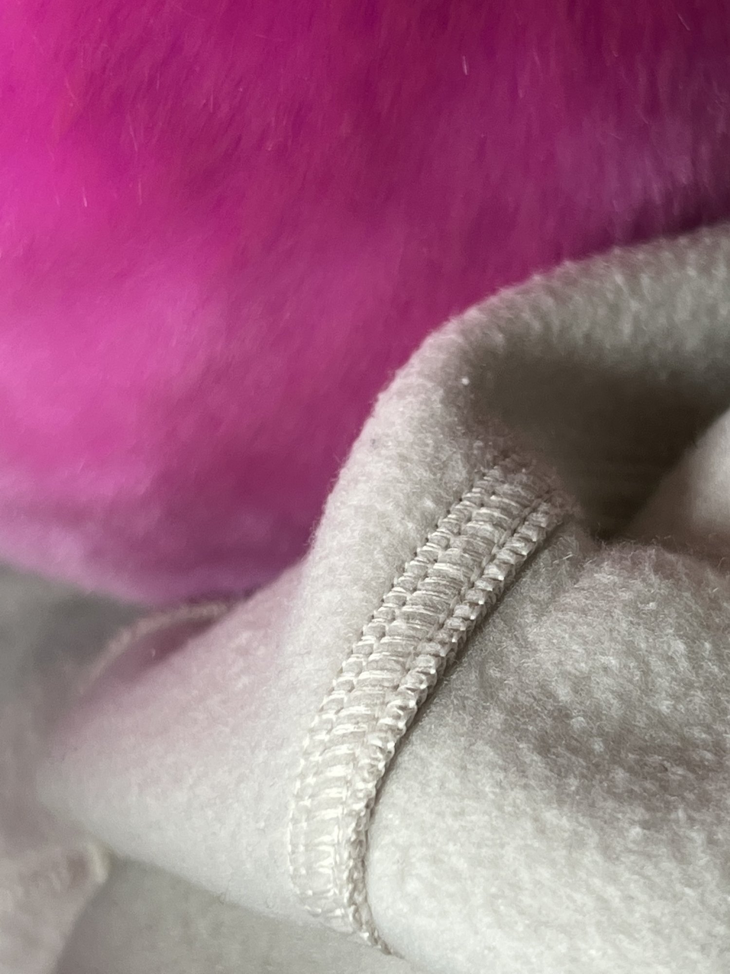 D576378D-4D58-47C5-9DD5-87BE8D445569.jpeg