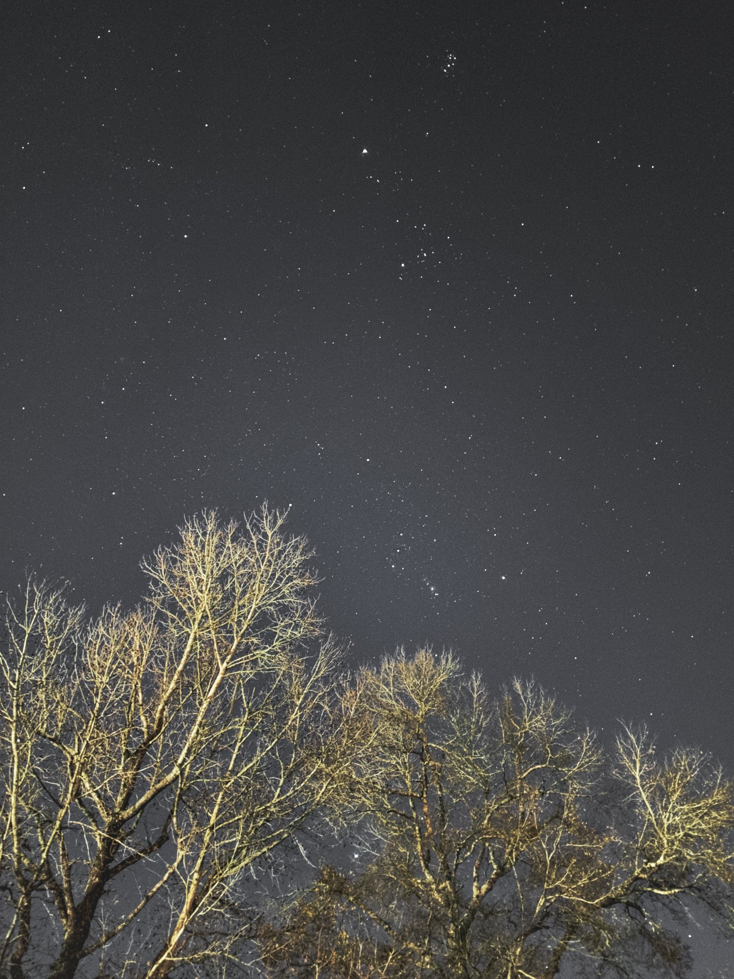 D692652E-6169-4F52-B3BE-A0508C3F71BD.jpeg