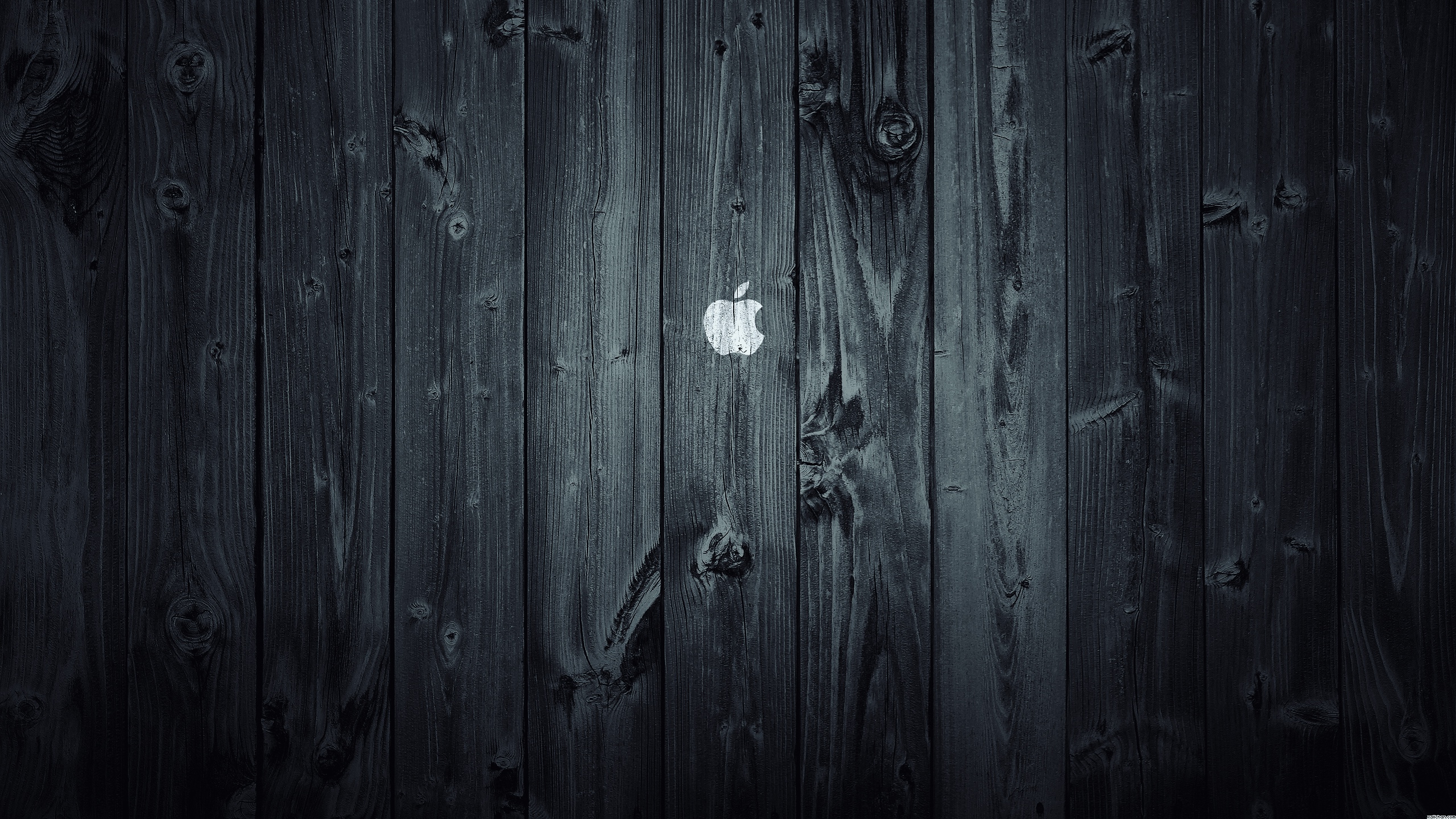 D86FF50A-EC93-4AD3-82A7-BE9F0F32BD4F.jpeg