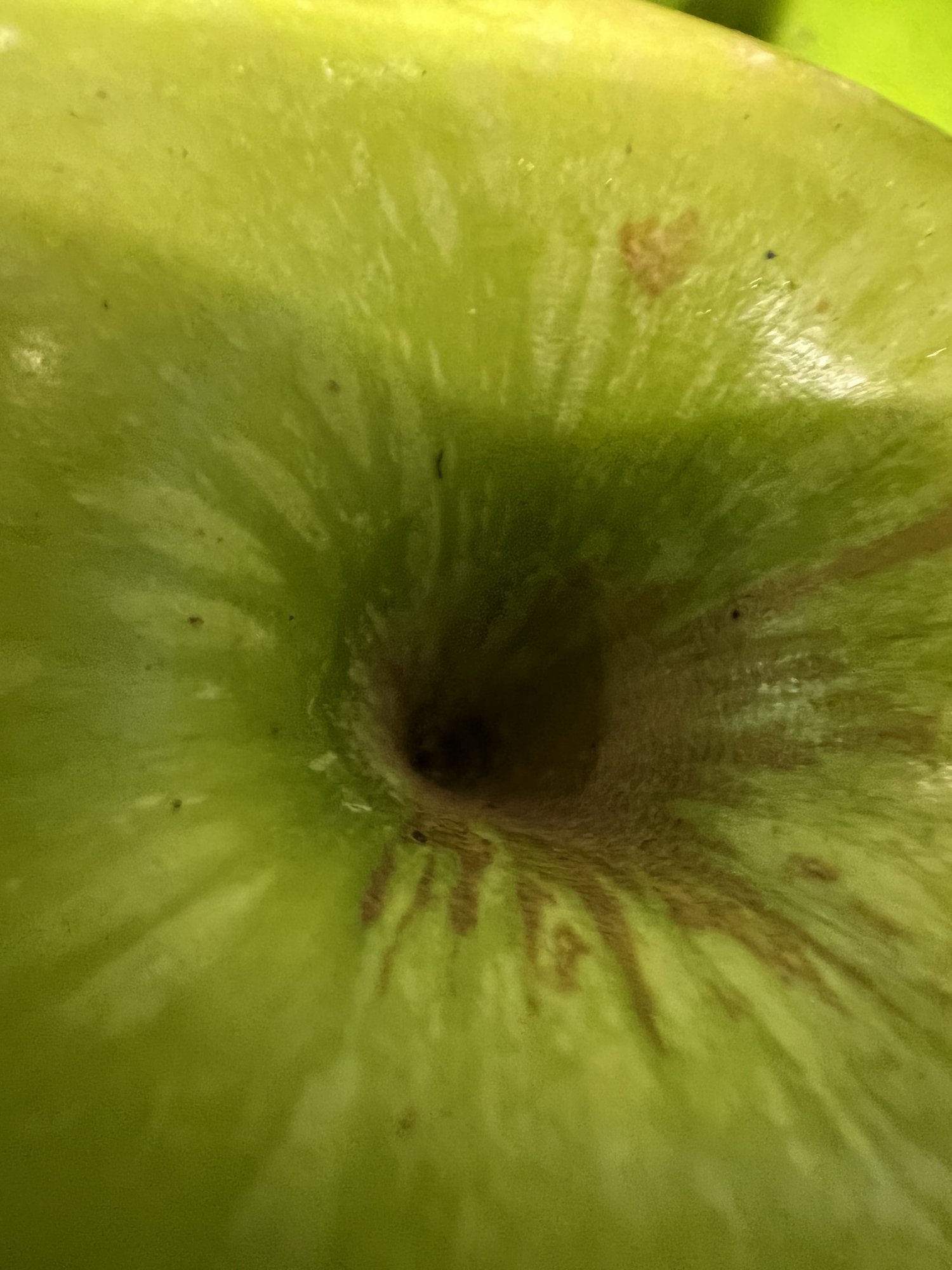 D8DF7231-901A-4D4D-84B3-0C924FB3A5CF.jpeg