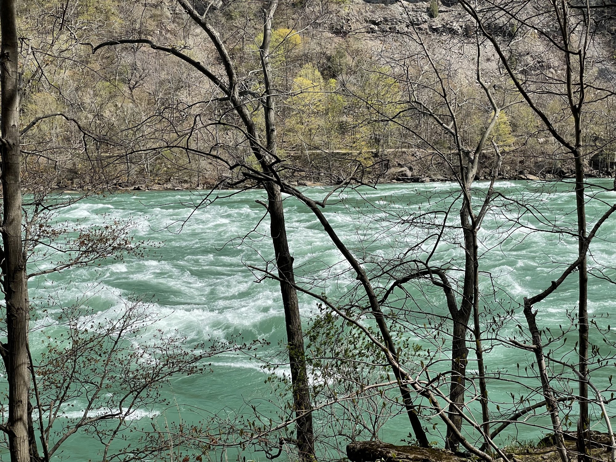 D9962B94-7B53-4B63-A576-02FD391A5651.jpeg