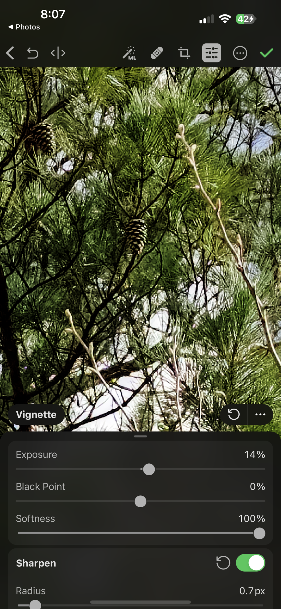D9DBBD7C-2CB5-47B8-BDE7-B8F711ABEE8C.png