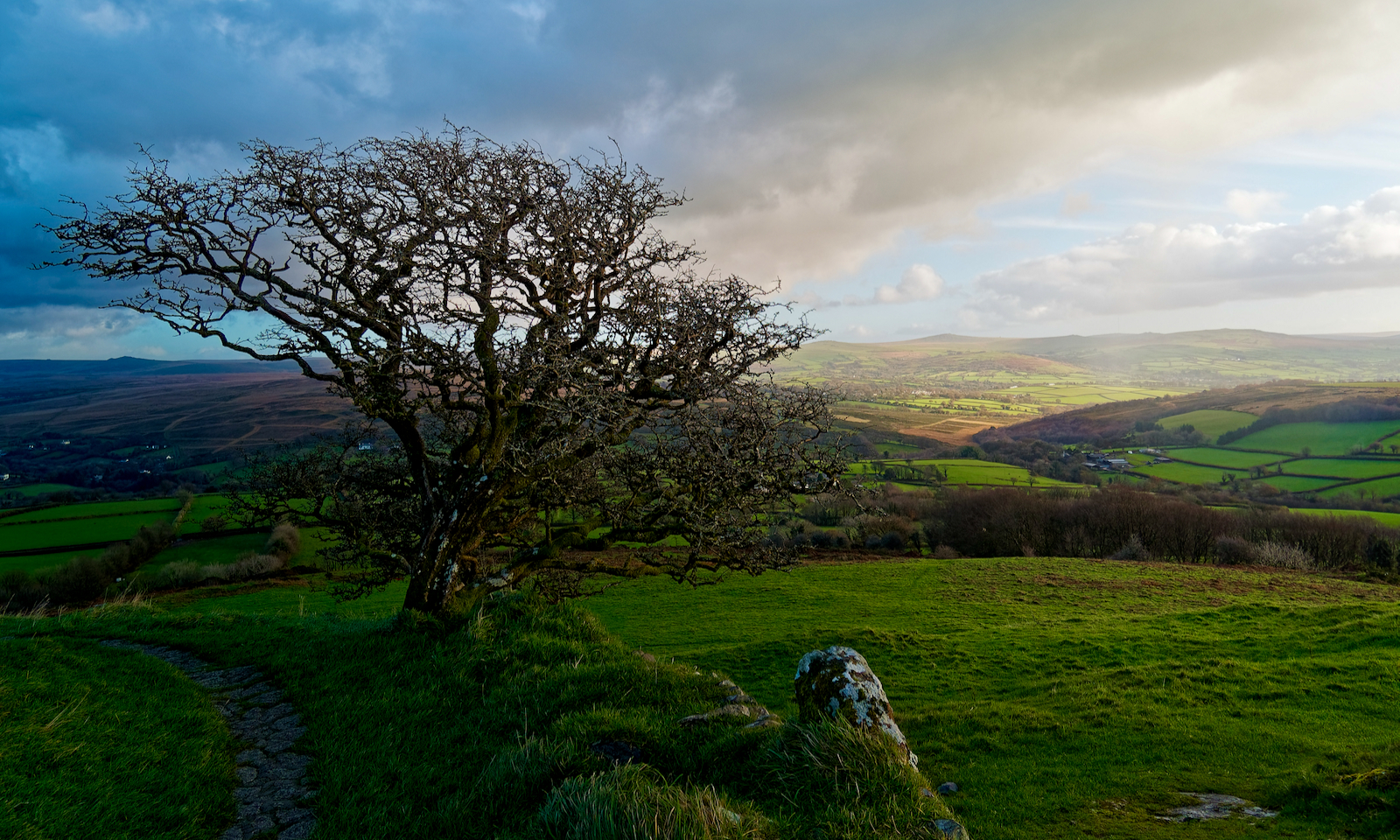 Dartmoor View 2.jpeg