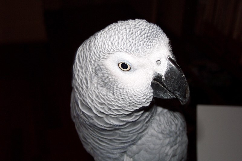 DCP_0120.jpg