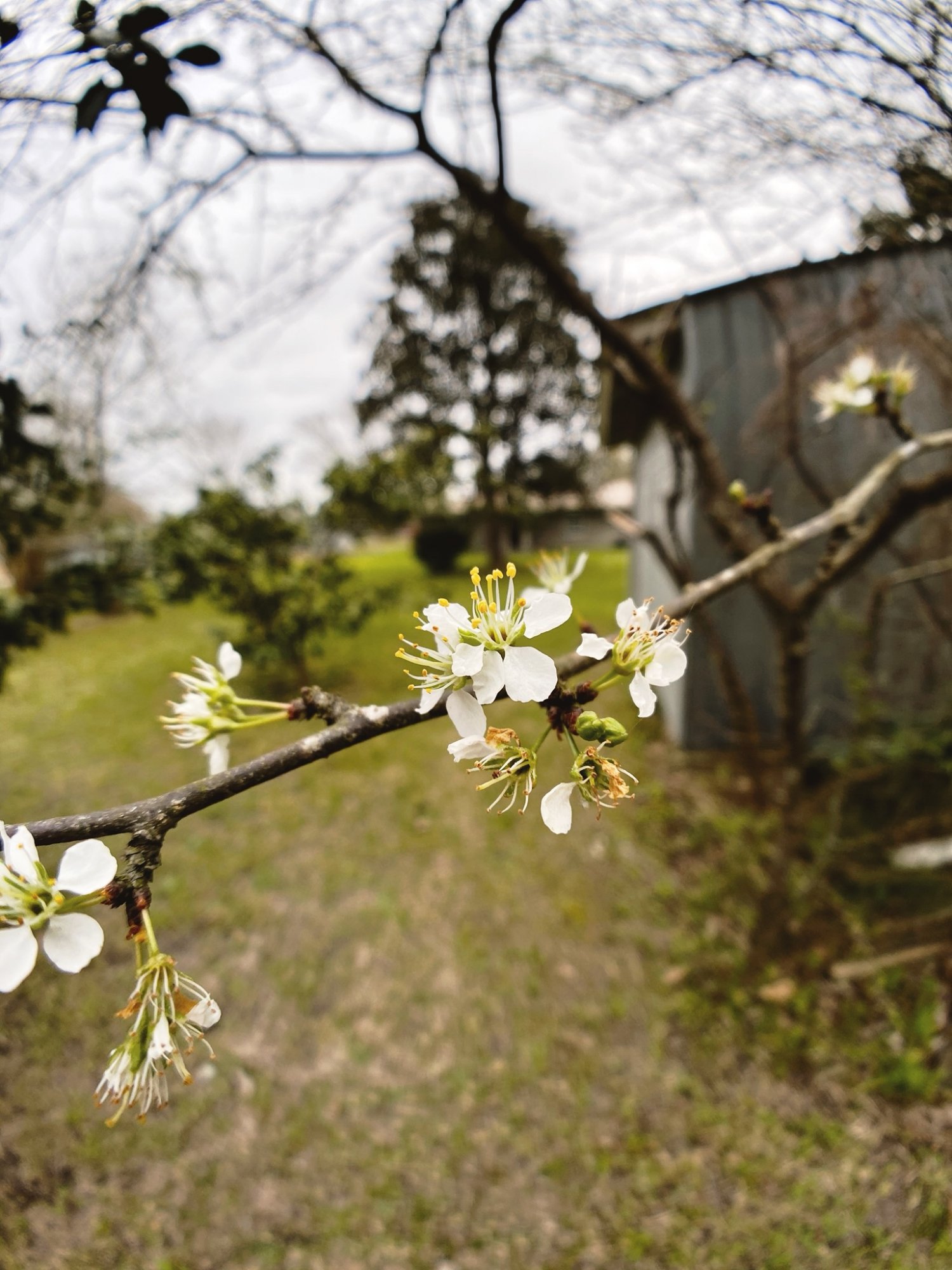 DD2225CA-791A-468E-AA80-F520E74A8346.jpeg