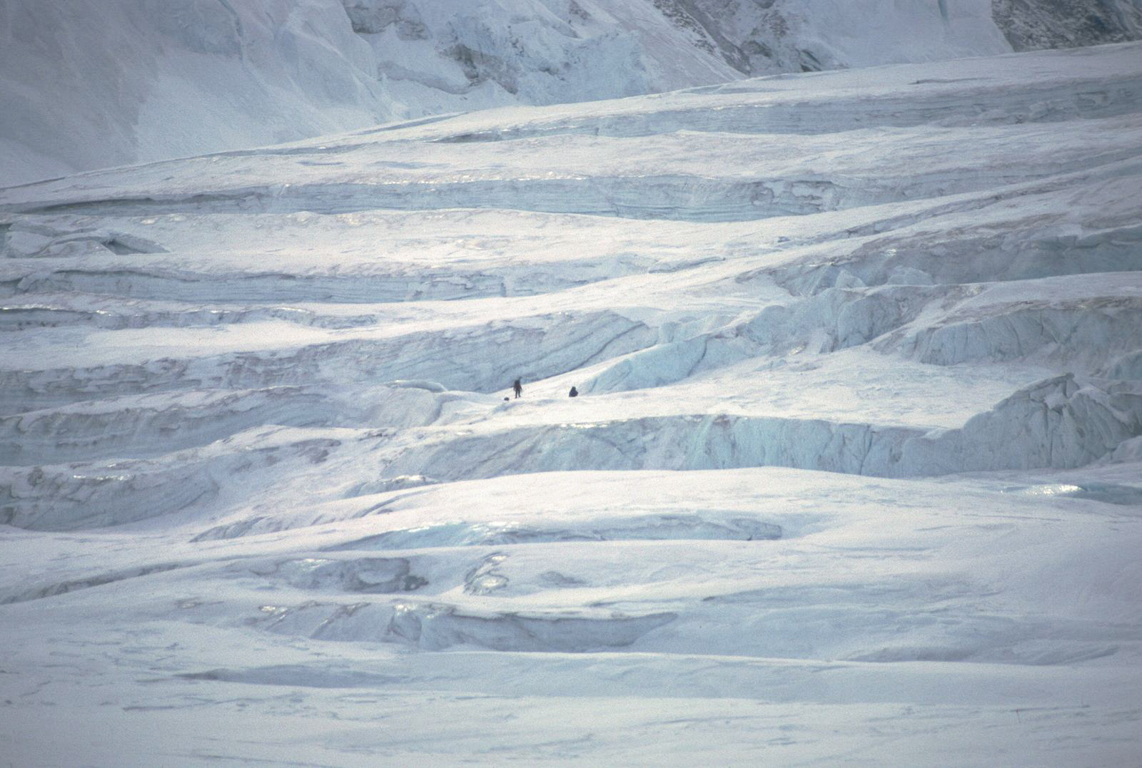 Denali_04_0008a.jpg