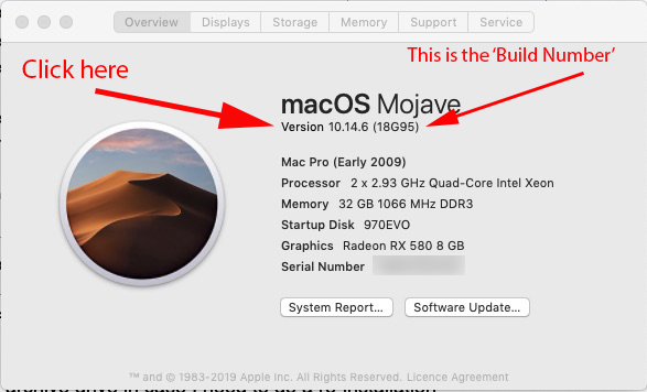 Display System Info Build number.jpg