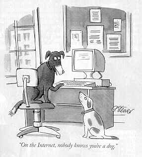 dog40.jpg