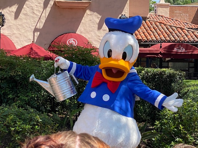 Donald Duck .jpg