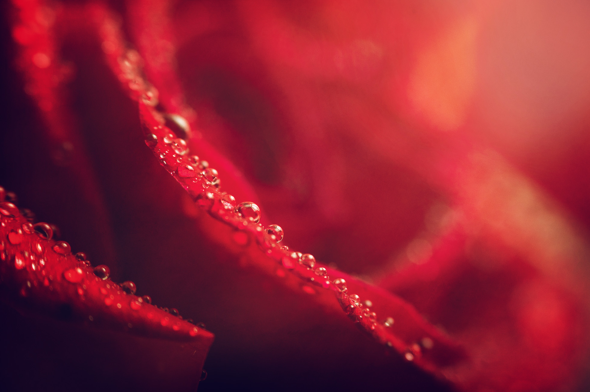 dp_february_01_2021-jpg.1722999