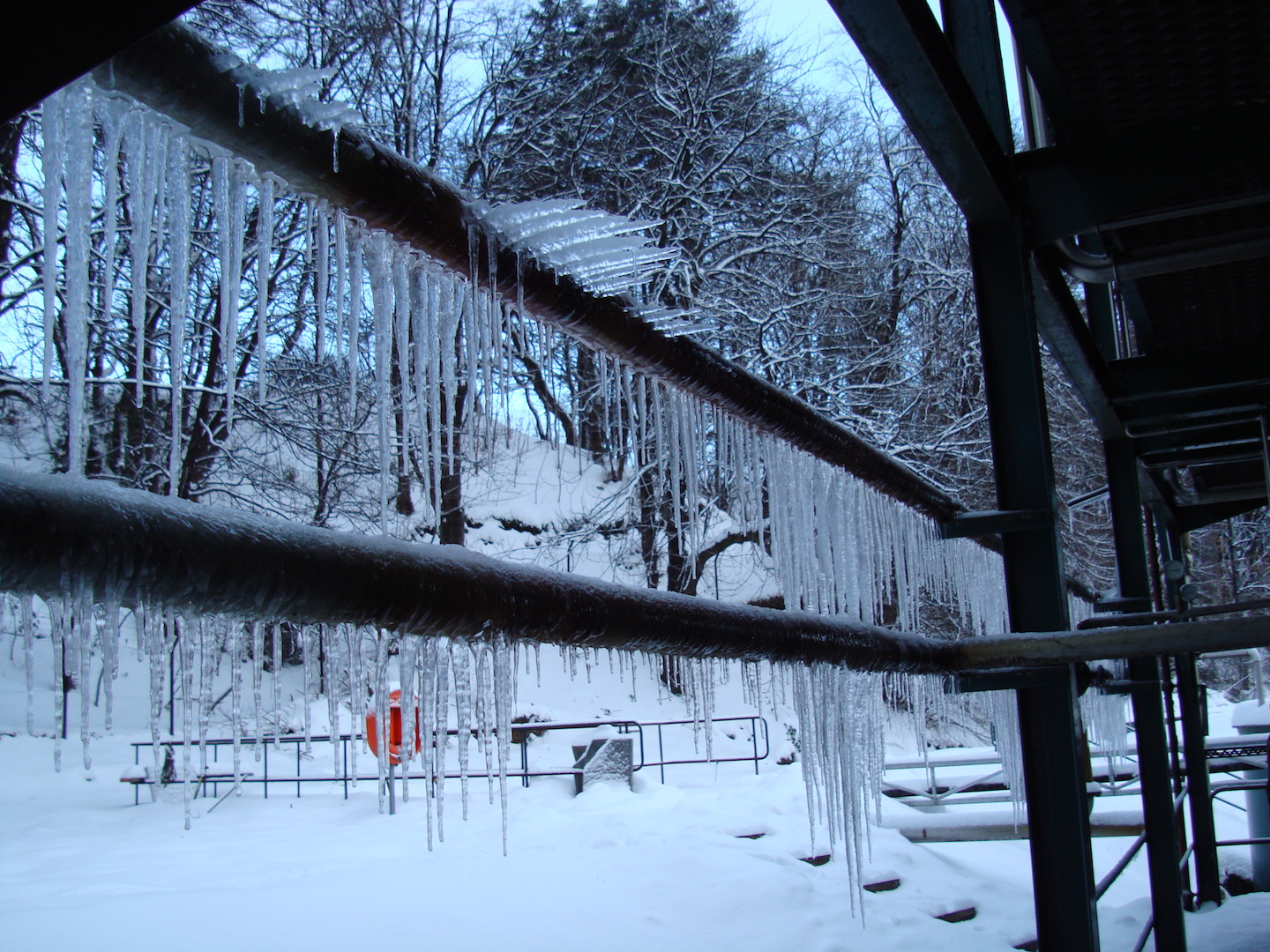 DSC00671.jpg