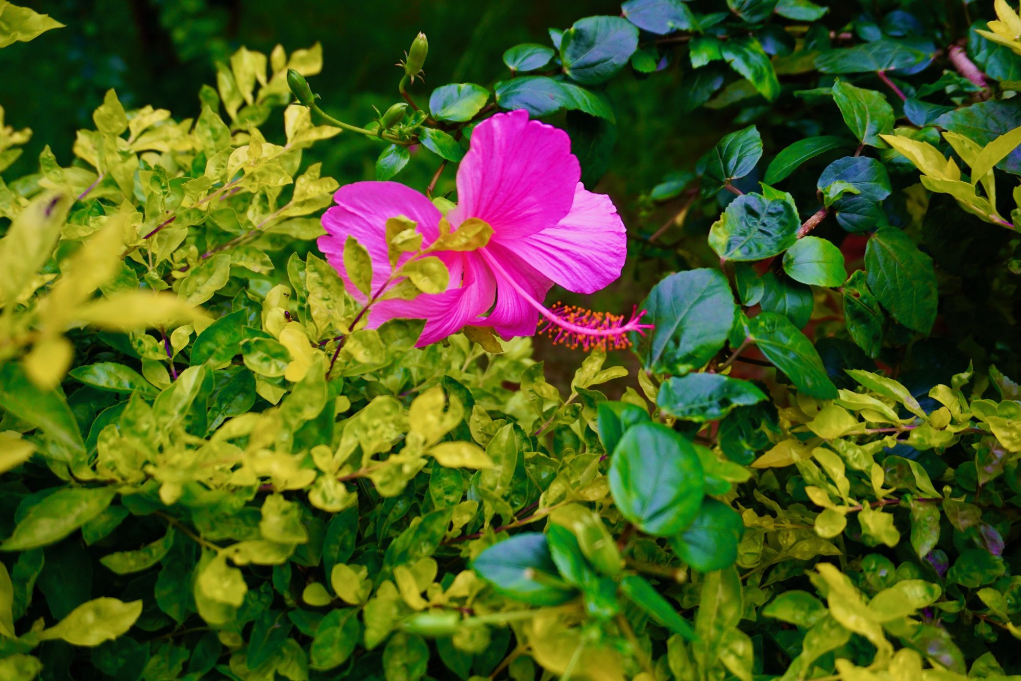 DSC01227.jpeg