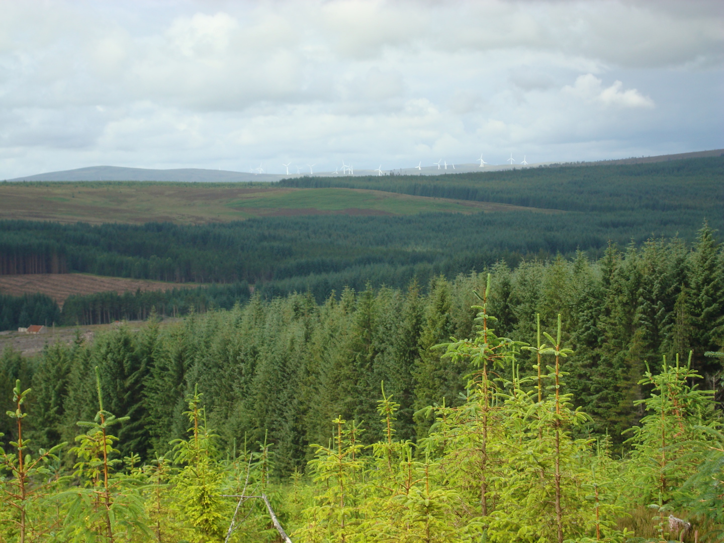 DSC02015.JPG