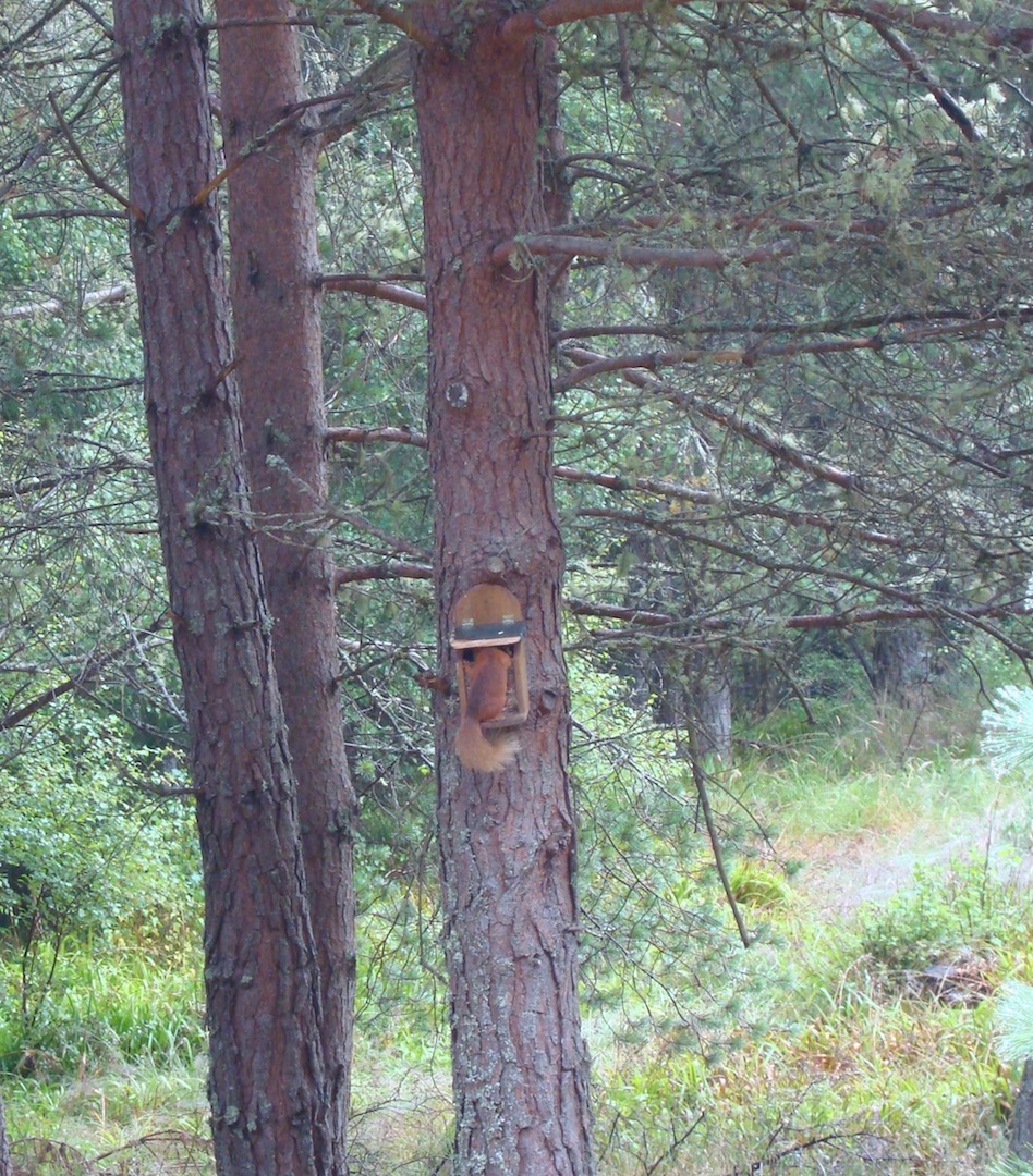DSC02081.jpg