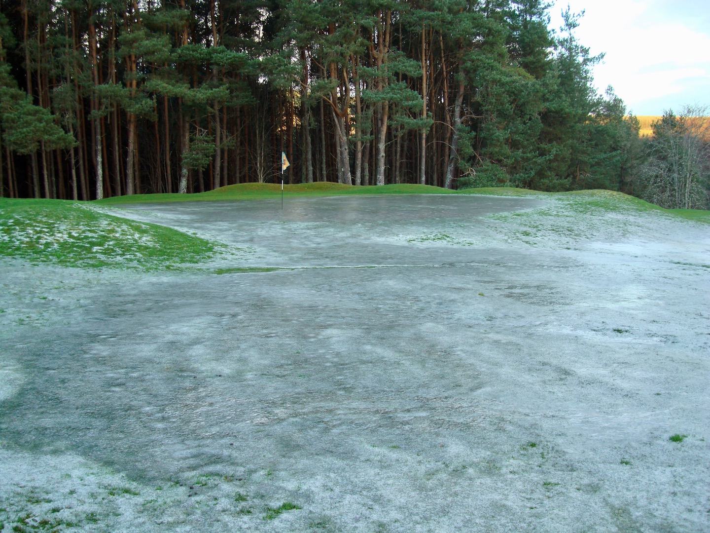 DSC02306.jpg