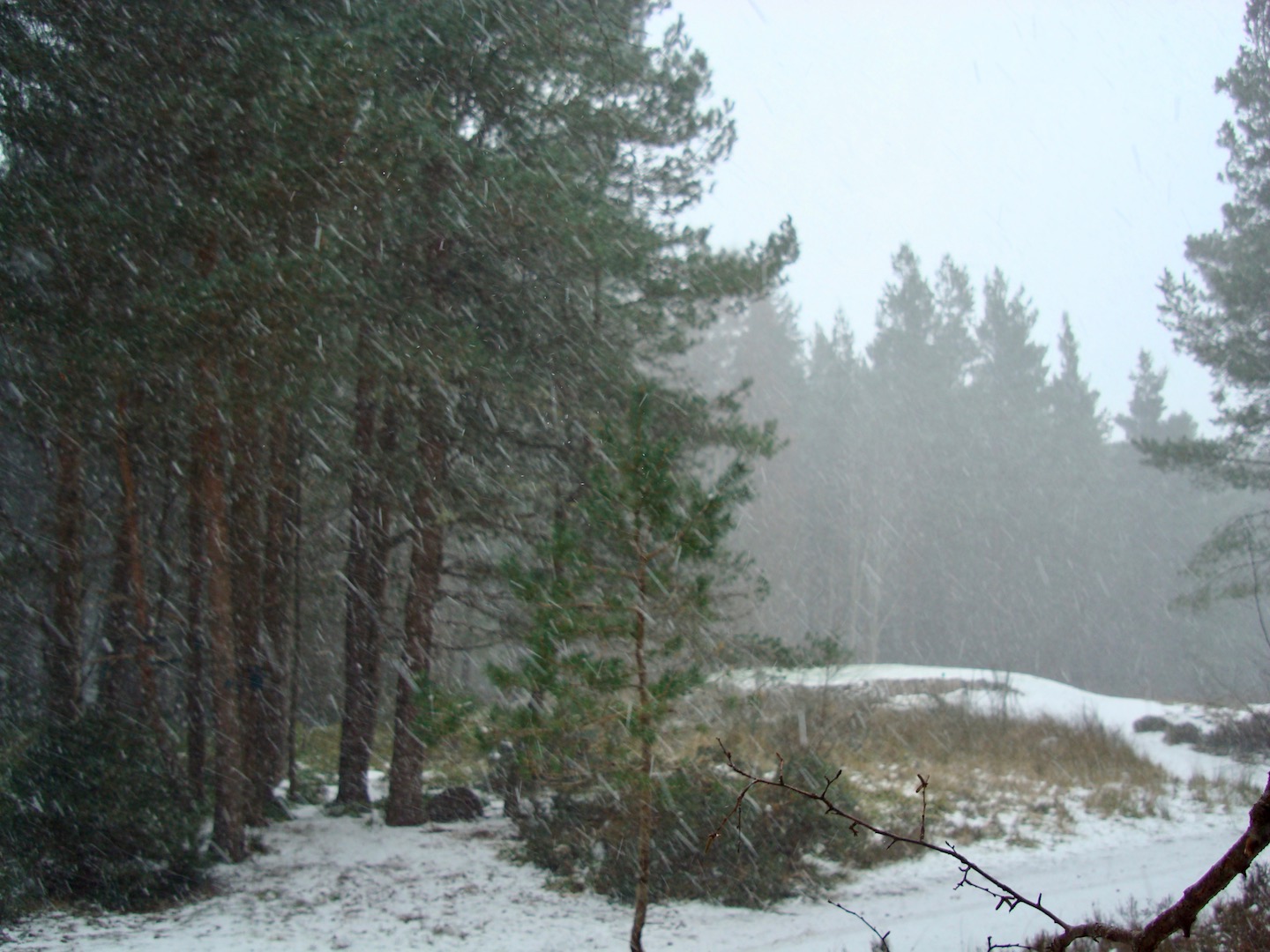 DSC02355.jpg