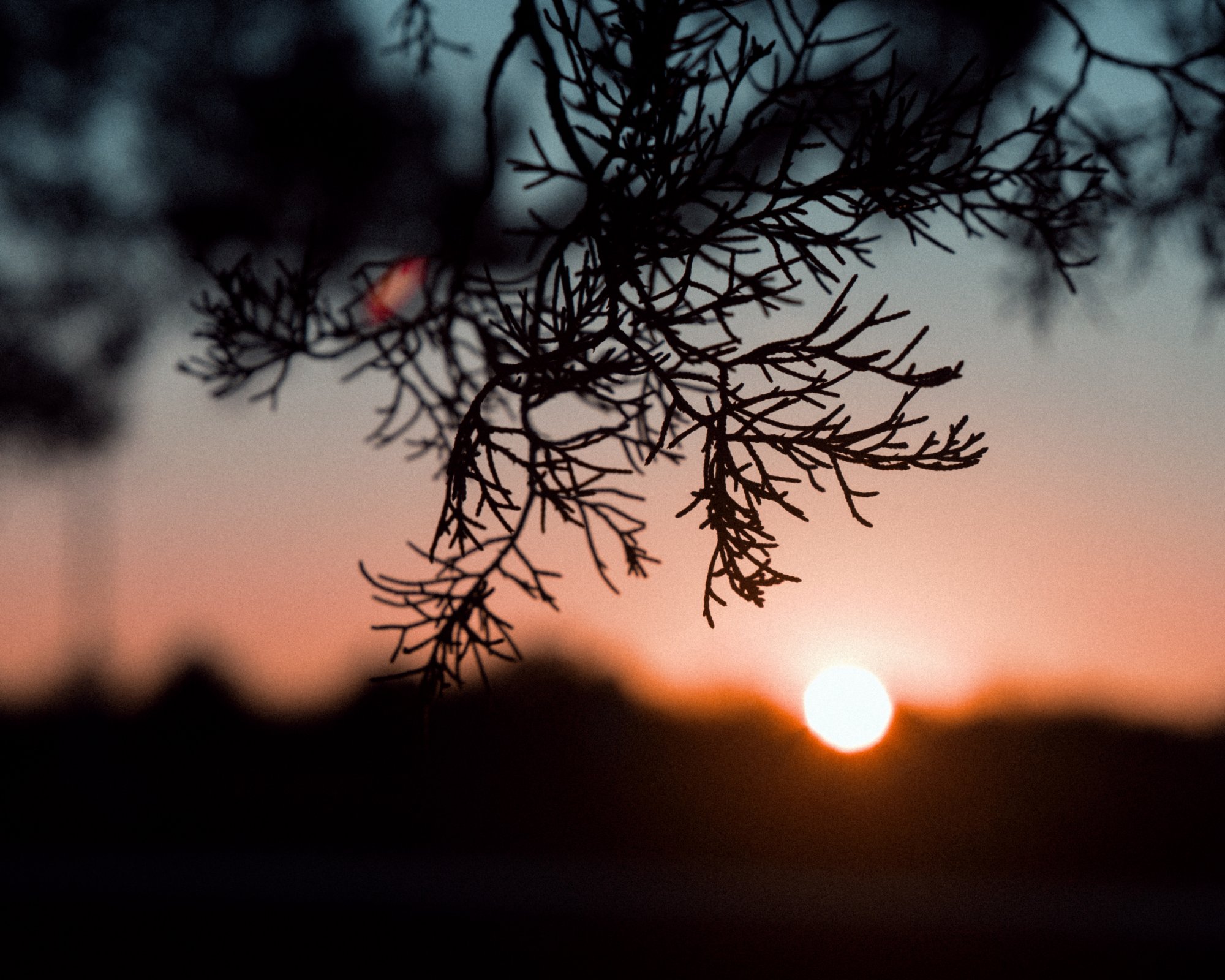 DSC02730_IG.jpg
