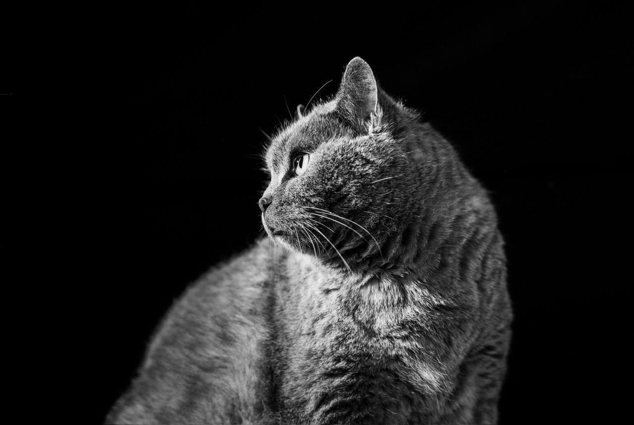 DSC04223.jpeg