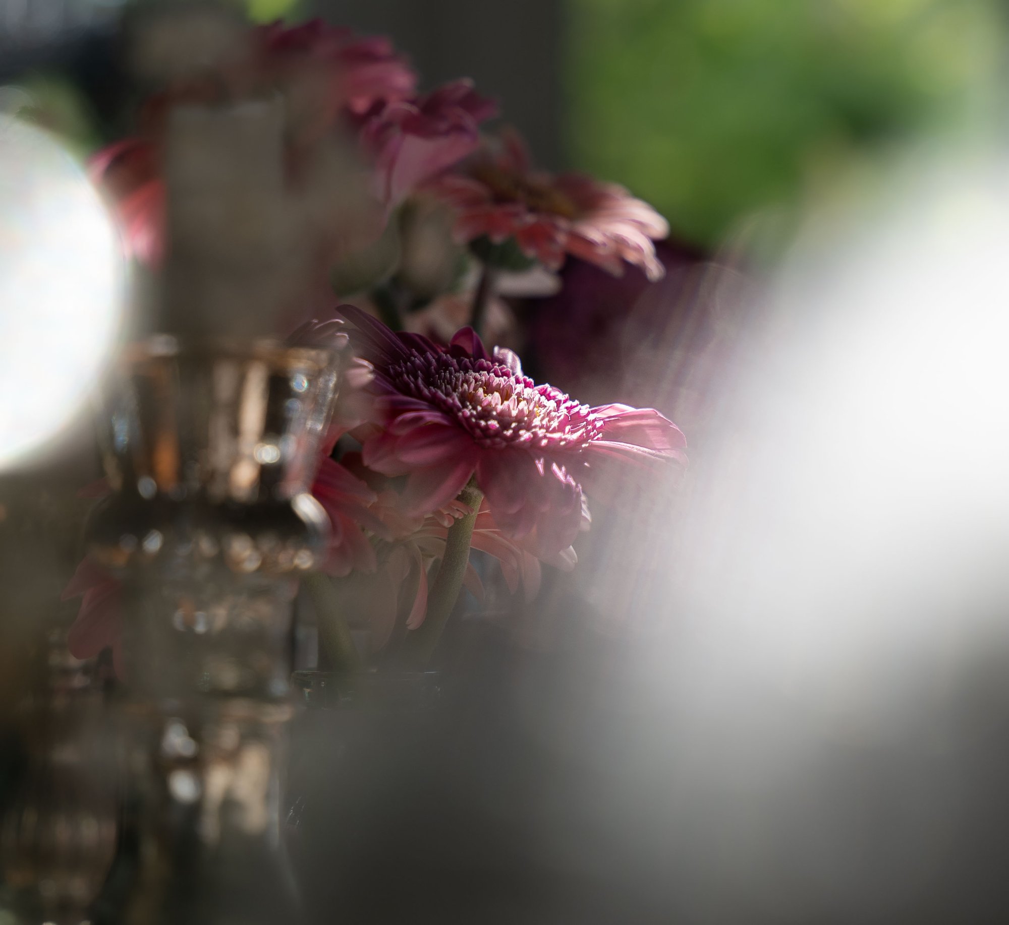 DSC04604.jpeg