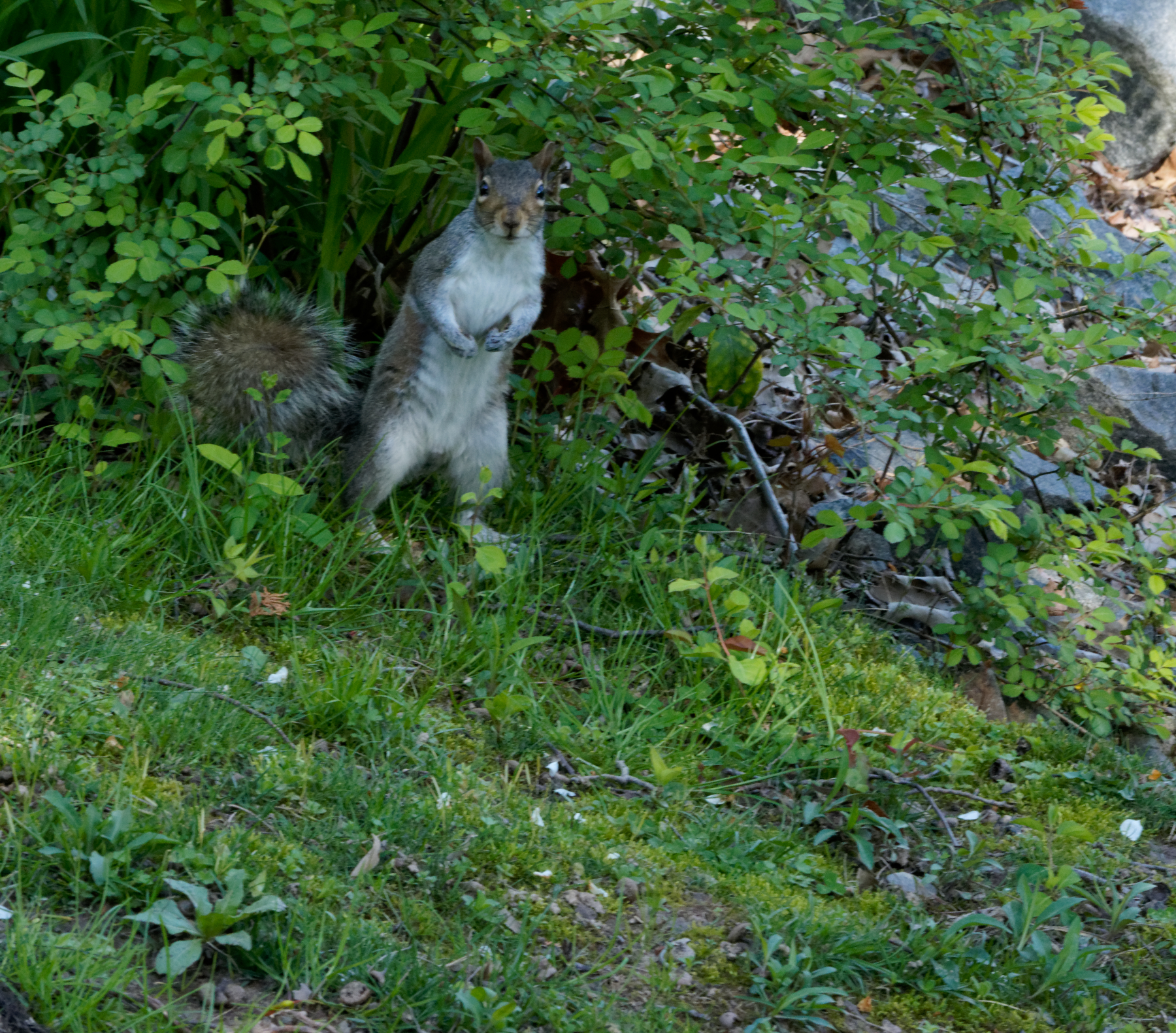 DSC06291_DxO.jpg