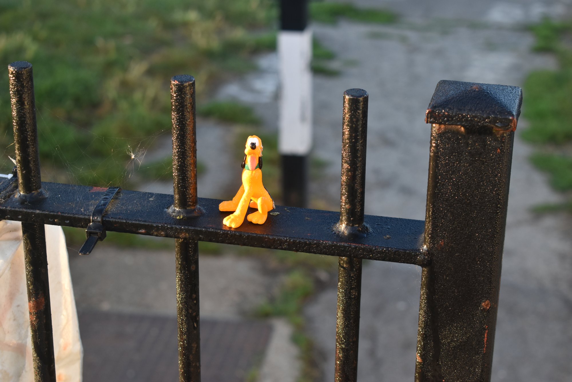 DSC_0006.jpeg