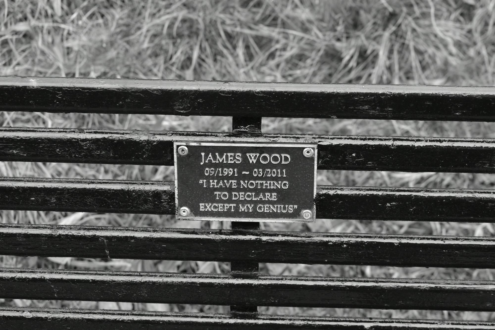 DSC_0013.jpeg