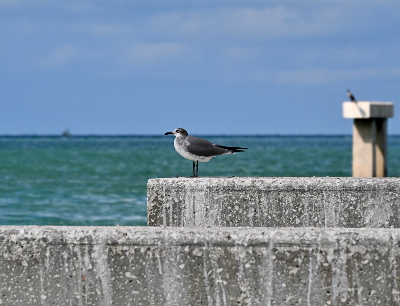 DSC_0042.jpeg