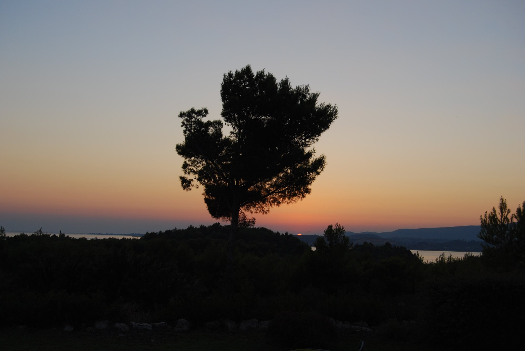 DSC_0059.jpeg