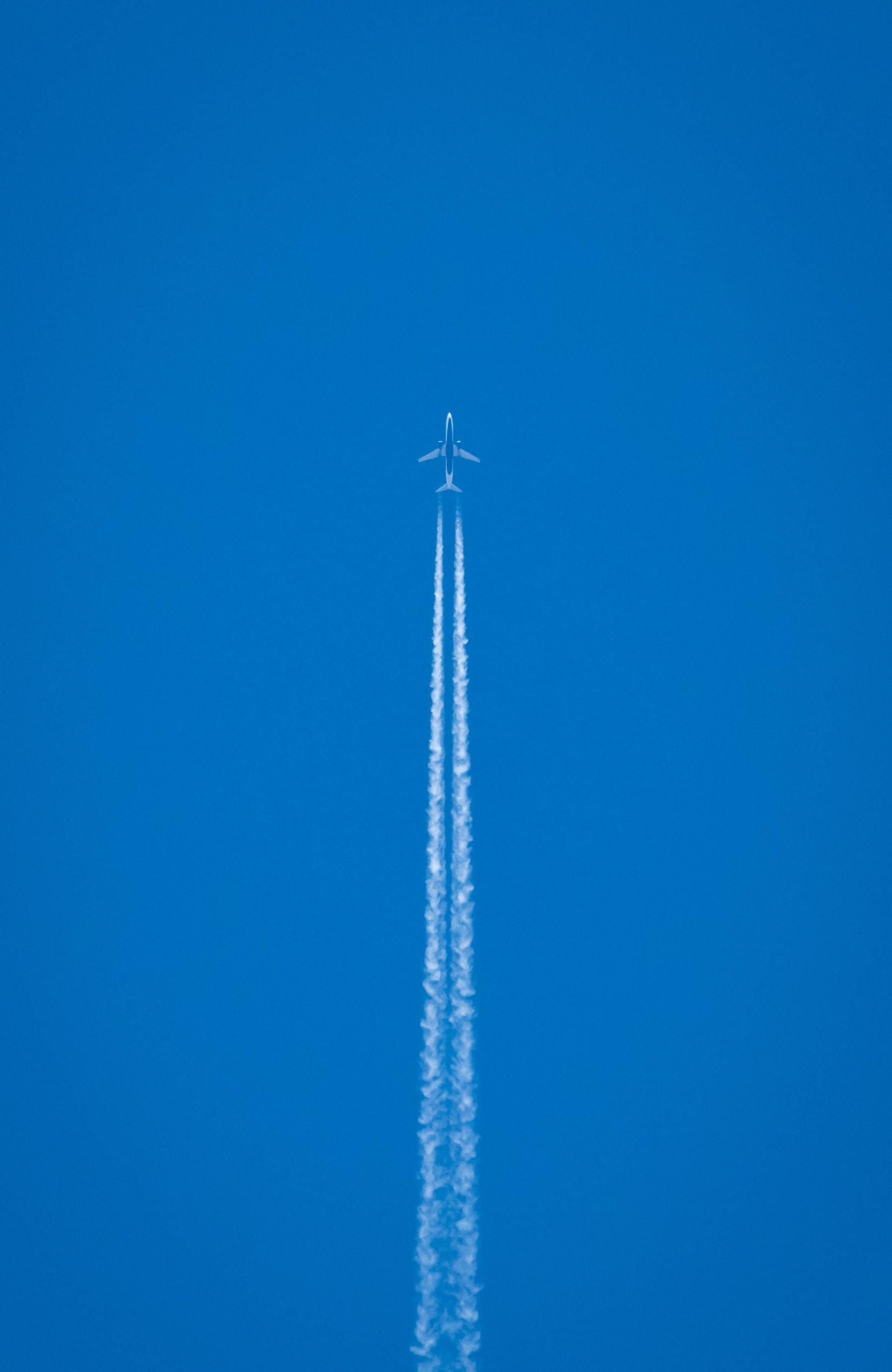 DSC_0063.jpg