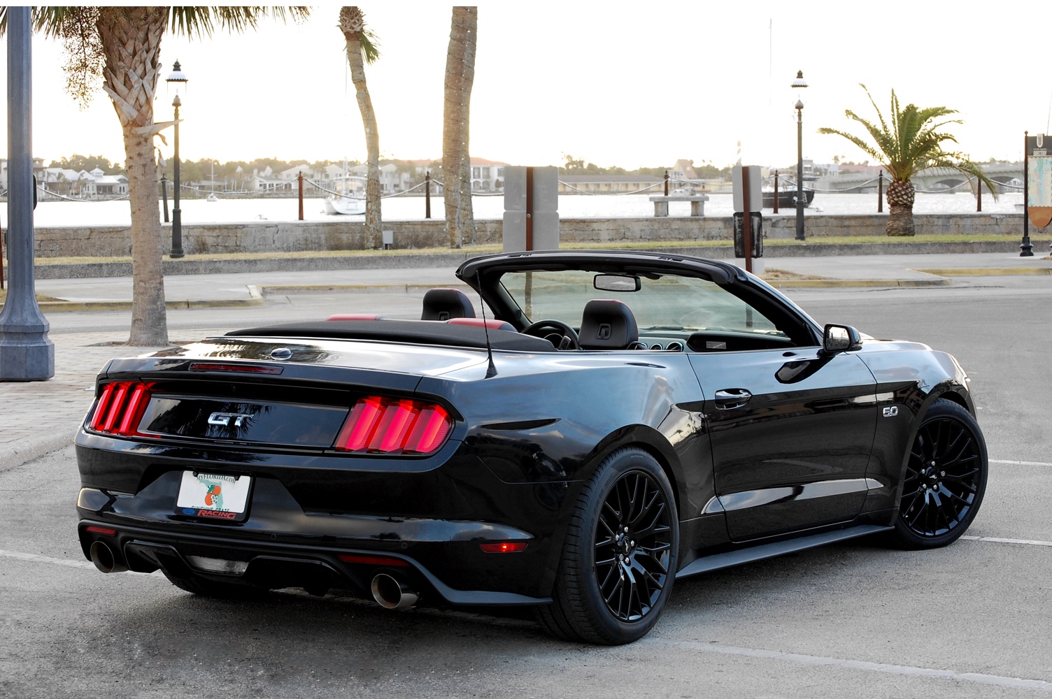 DSC_0073_Rev3_1:2size.jpg