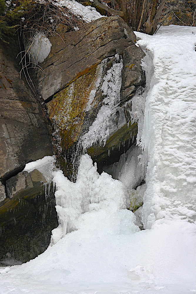 DSC_0081C.jpg