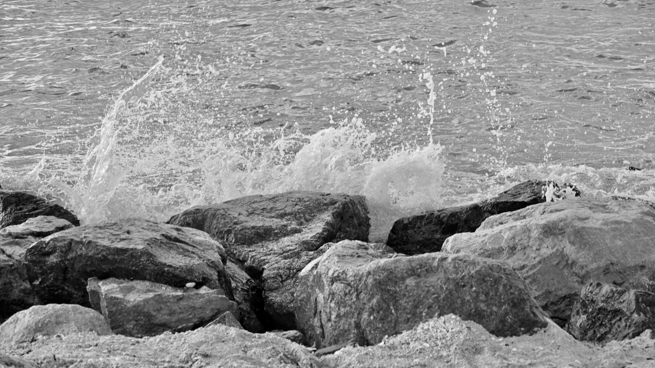 DSC_0096.jpeg