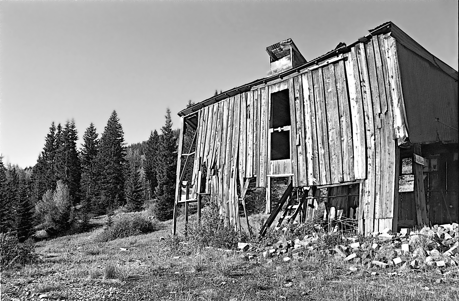 DSC_0103bwA.jpg