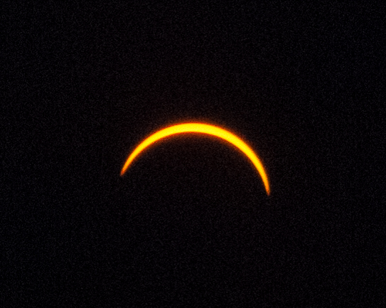DSC_0137.jpg