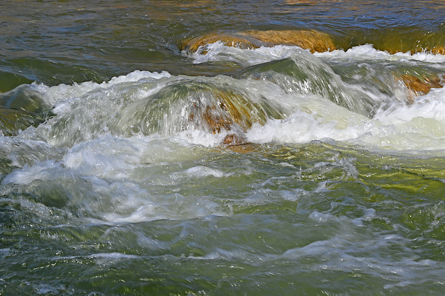 DSC_0142.jpg