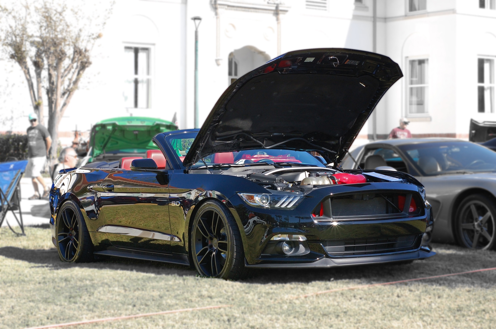 DSC_0161_V1_SAC_Show_2017.jpg