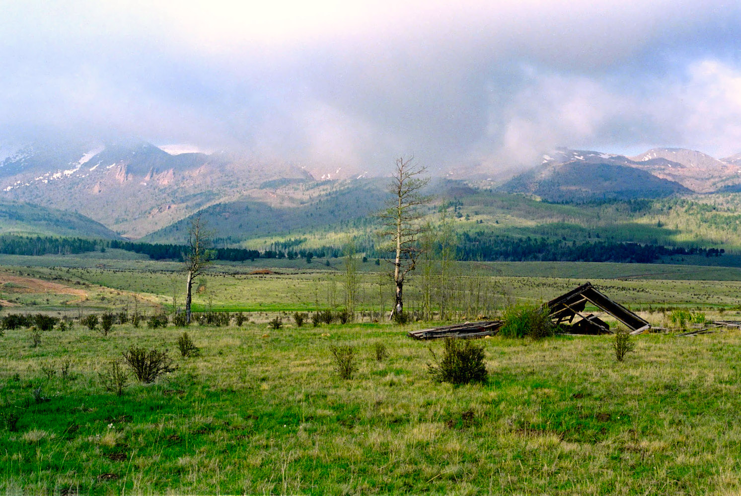 DSC_0171As.jpg