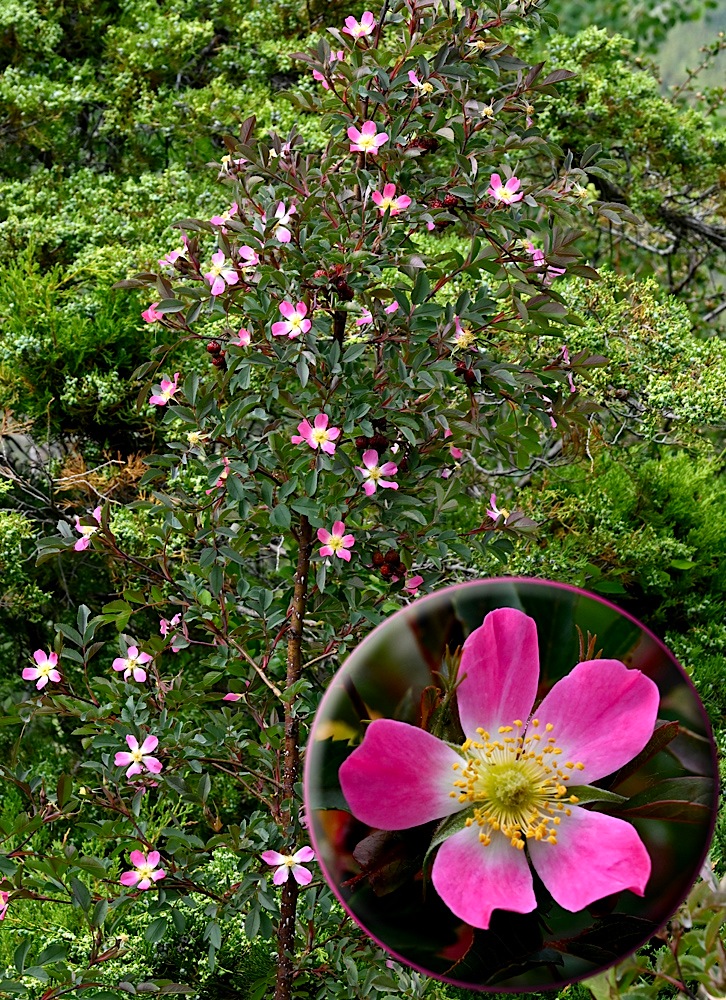 DSC_0354.jpg
